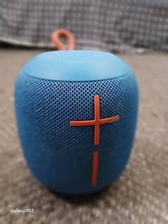 logitech ultimate wonderboom