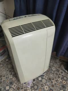 Portable