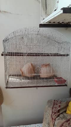 parrot  cage