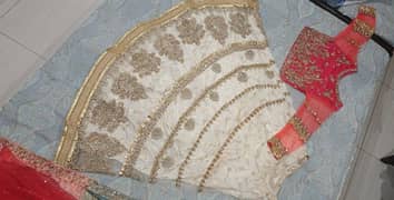 Bridal mehndi/valima lehnga
