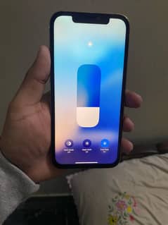 12 pro max panel