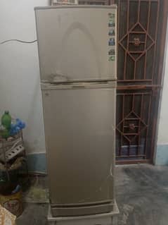 Medium size Dowlance Fridge Urgent sale