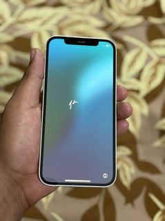 Iphone 12 Pta Approved