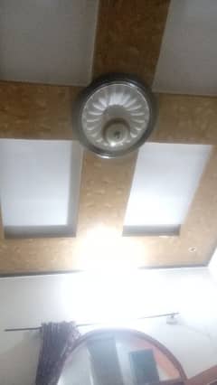 tamoor fan for sale
