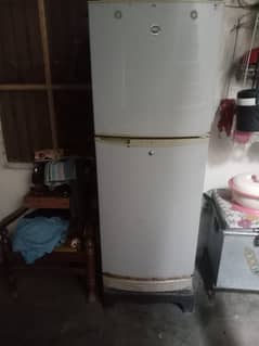 pal refrigerator medium siz for sale