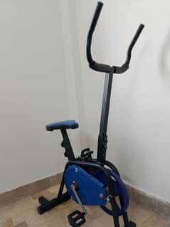 Exercise cycle for fitness