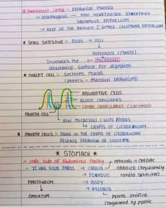 Assignment+Content