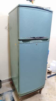 Waves Large Size Fridge for Sale
