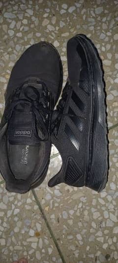 Addidas Cloud Shoes Original