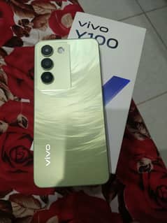 Vivo Y100 8/256 lush condition