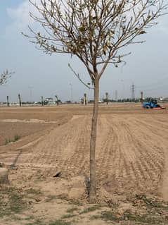 INVESTAR RATE PLOT NEW CUTTING IN DAIMOND BLOCK VIP HOT LOCATION