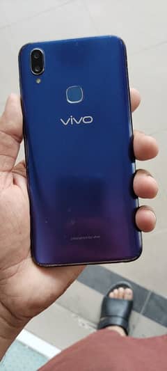 VIVO