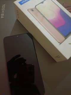 Vivo