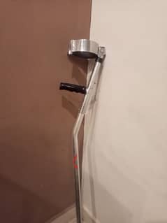 walking stick