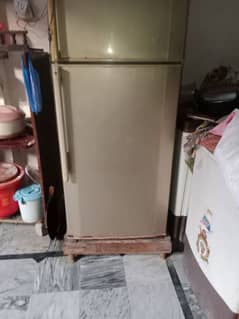 full size haier refrigerator