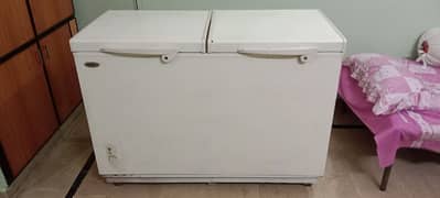 wavez Deep Freezer