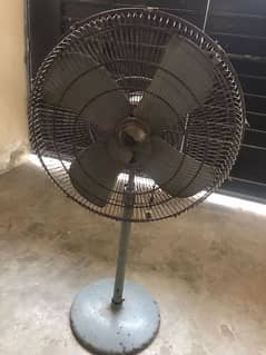 Super ashia Fan