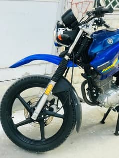 ybr