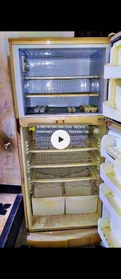 PEL Fridge 2005 Model