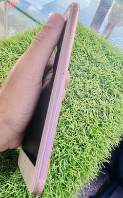 i phone 8 plus 64 gb pta approved