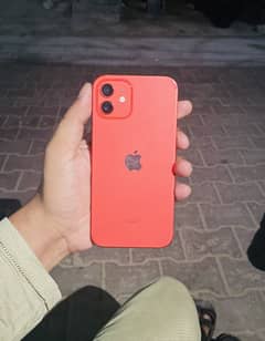 iPhone 12 256 PTA