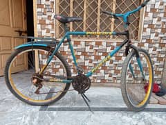 Bicycle for sale