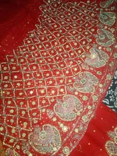 bilkul new lehnga