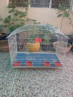 HUGE SIZE PARROT CAGE