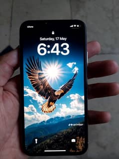Apple Iphone XS | 256 GB