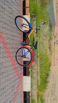 cycle