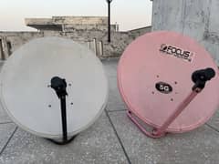 Dishtv