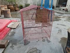 Iron Birds Cage