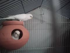 paper