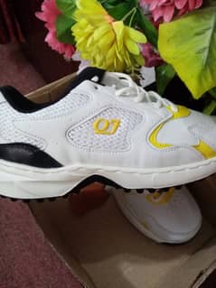 brand new gripper cricket