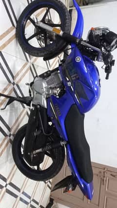 Yamaha