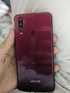 vivo