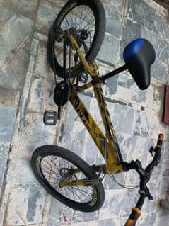 MTB