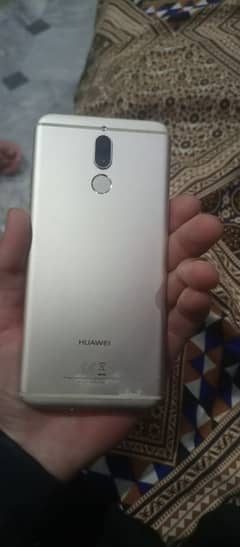 Contact 03076067937