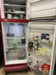 Singer Full Size Refrigerator
