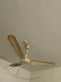 ceiling