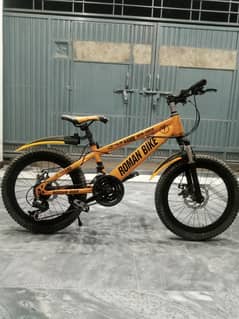 Germany imported bicycle.