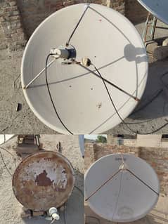 Dish