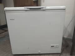 Haier 1 door fareezer 10 year compressor garnty and new condition