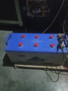 12 ward battery best condition