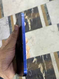I phone 12 pta approved