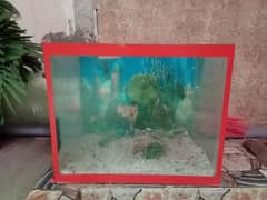 Aquarium