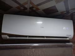 Haier