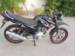 Yamaha YBR Z