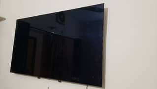 LG