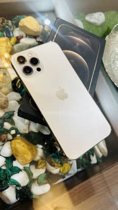 12 PRO MAX PTA APPROVED 256Gb
